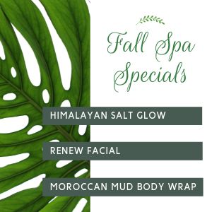 Spa Specials Instagram Post