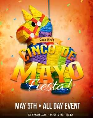 Pinata Cinco De Mayo Poster