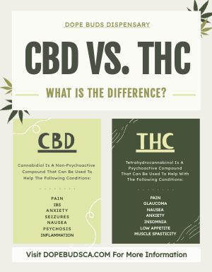 CBD Dispensary Flyer