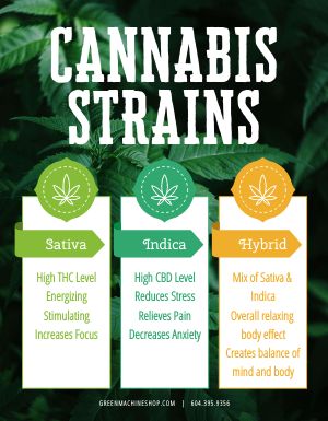 Weed Strains Flyer