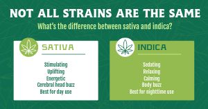 Cannabis Strain FB Post